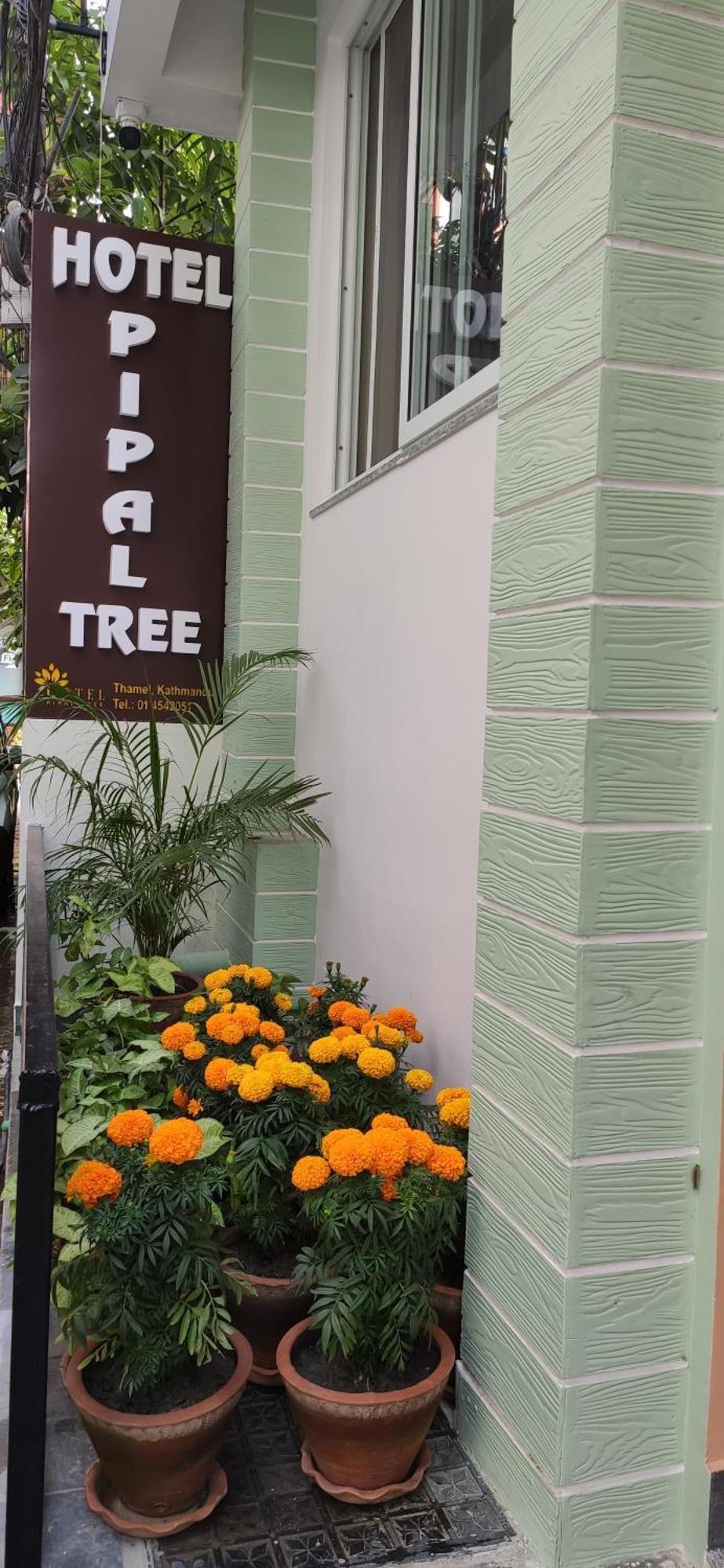 Hotel Pipal Tree กาฐมาณฑุ ภายนอก รูปภาพ